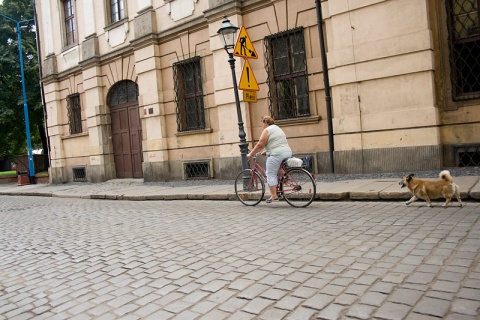 Kliknij na zdjęcie, żeby zobaczyć w pełnych wymiarach