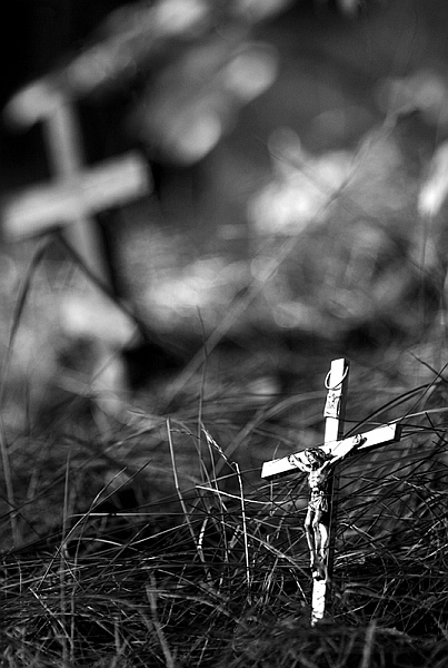 Kliknij na zdjęcie, żeby zobaczyć w pełnych wymiarach