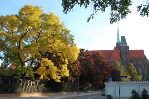 Kliknij na zdjęcie, żeby zobaczyć w pełnych wymiarach