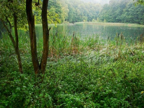 Kliknij na zdjęcie, żeby zobaczyć w pełnych wymiarach