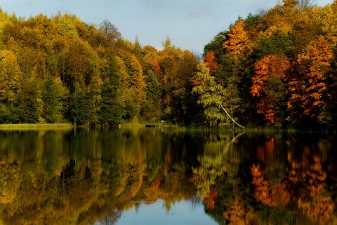 Kliknij na zdjęcie, żeby zobaczyć w pełnych wymiarach