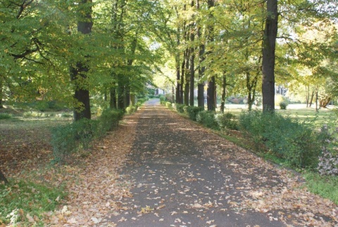 Kliknij na zdjęcie, żeby zobaczyć w pełnych wymiarach