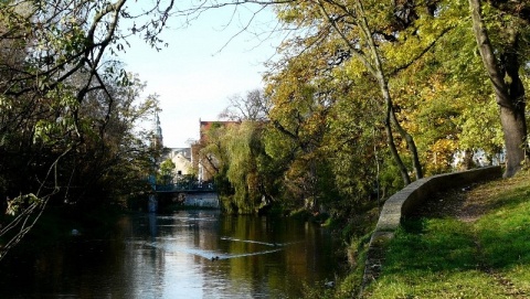 Kliknij na zdjęcie, żeby zobaczyć w pełnych wymiarach