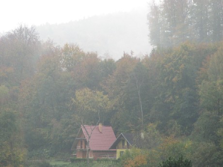 Kliknij na zdjęcie, żeby zobaczyć w pełnych wymiarach