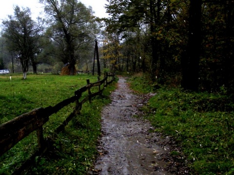 Kliknij na zdjęcie, żeby zobaczyć w pełnych wymiarach