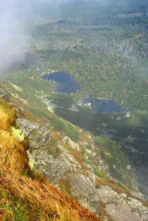 Kliknij na zdjęcie, żeby zobaczyć w pełnych wymiarach