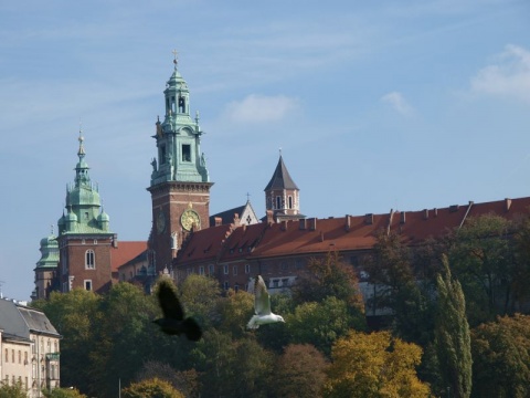 Kliknij na zdjęcie, żeby zobaczyć w pełnych wymiarach