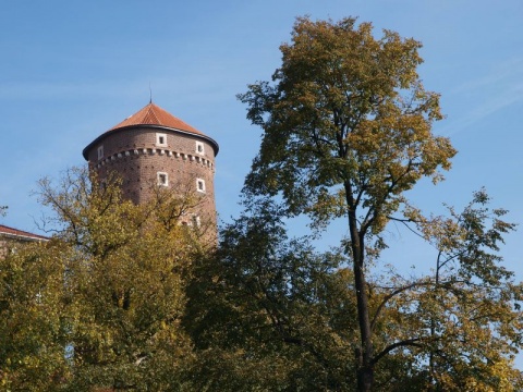 Kliknij na zdjęcie, żeby zobaczyć w pełnych wymiarach