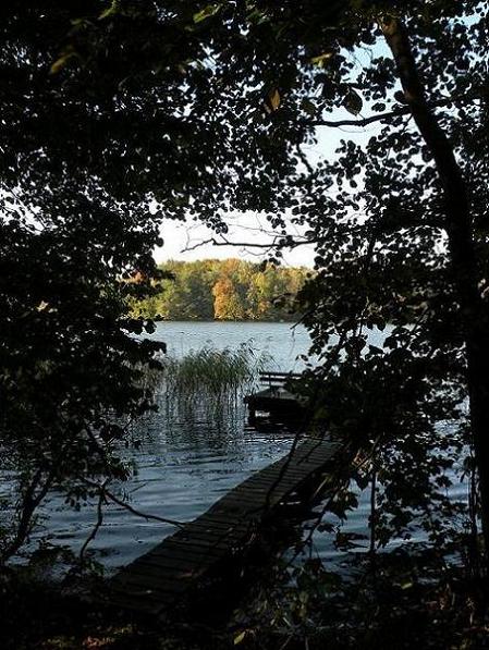 Kliknij na zdjęcie, żeby zobaczyć w pełnych wymiarach