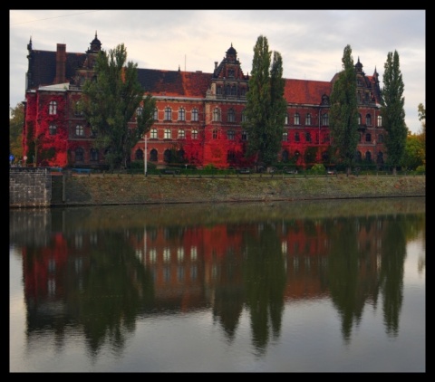 Kliknij na zdjęcie, żeby zobaczyć w pełnych wymiarach