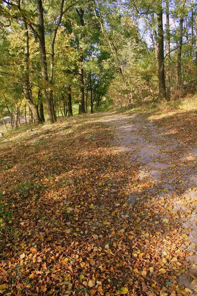 Kliknij na zdjęcie, żeby zobaczyć w pełnych wymiarach