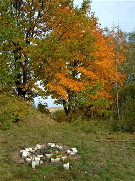 Kliknij na zdjęcie, żeby zobaczyć w pełnych wymiarach