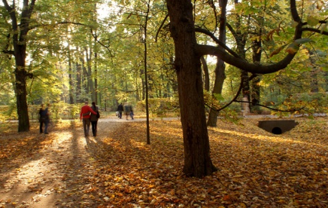 Kliknij na zdjęcie, żeby zobaczyć w pełnych wymiarach