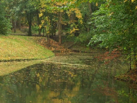 Kliknij na zdjęcie, żeby zobaczyć w pełnych wymiarach