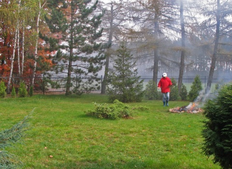 Kliknij na zdjęcie, żeby zobaczyć w pełnych wymiarach