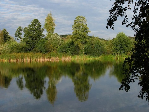 Kliknij na zdjęcie, żeby zobaczyć w pełnych wymiarach