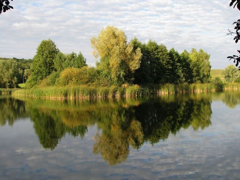 Kliknij na zdjęcie, żeby zobaczyć w pełnych wymiarach