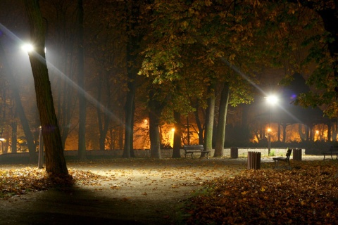 Kliknij na zdjęcie, żeby zobaczyć w pełnych wymiarach