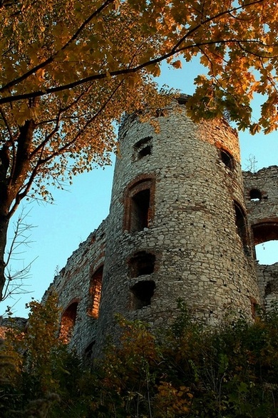 Kliknij na zdjęcie, żeby zobaczyć w pełnych wymiarach