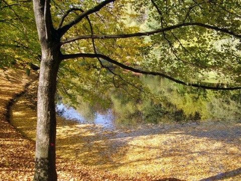 Kliknij na zdjęcie, żeby zobaczyć w pełnych wymiarach