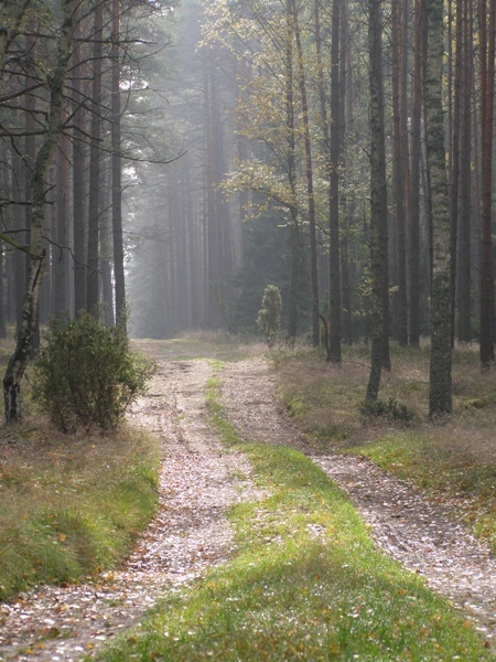 Kliknij na zdjęcie, żeby zobaczyć w pełnych wymiarach