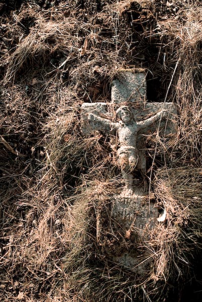 Kliknij na zdjęcie, żeby zobaczyć w pełnych wymiarach