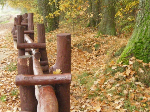 Kliknij na zdjęcie, żeby zobaczyć w pełnych wymiarach