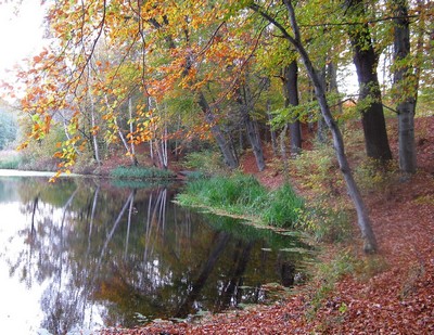 Kliknij na zdjęcie, żeby zobaczyć w pełnych wymiarach