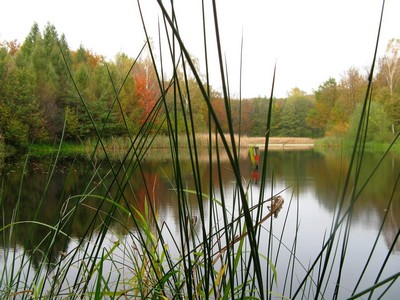 Kliknij na zdjęcie, żeby zobaczyć w pełnych wymiarach