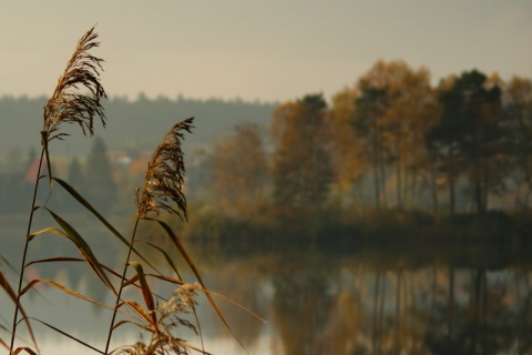 Kliknij na zdjęcie, żeby zobaczyć w pełnych wymiarach