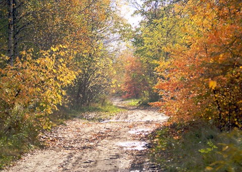 Kliknij na zdjęcie, żeby zobaczyć w pełnych wymiarach