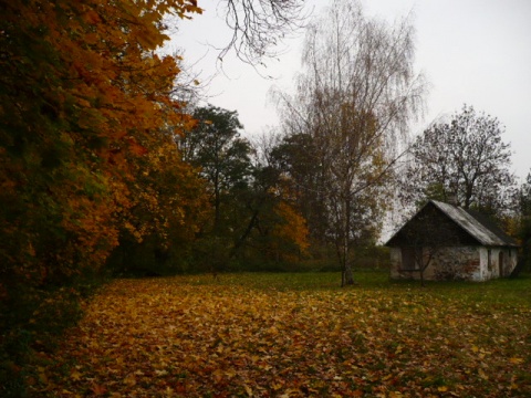 Kliknij na zdjęcie, żeby zobaczyć w pełnych wymiarach