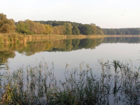 Kliknij na zdjęcie, żeby zobaczyć w pełnych wymiarach