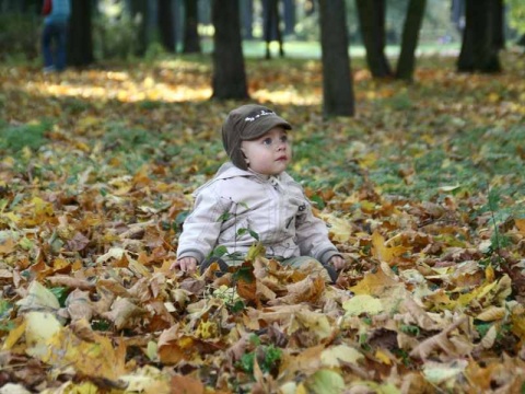 Kliknij na zdjęcie, żeby zobaczyć w pełnych wymiarach