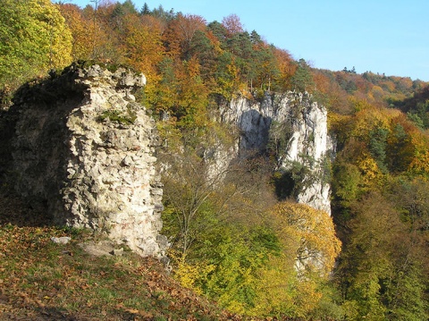 Kliknij na zdjęcie, żeby zobaczyć w pełnych wymiarach