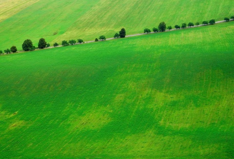 Kliknij na zdjęcie, żeby zobaczyć w pełnych wymiarach