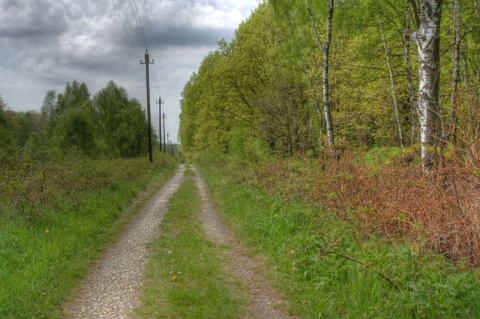 Kliknij na zdjęcie, żeby zobaczyć w pełnych wymiarach