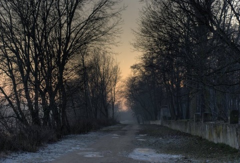 Kliknij na zdjęcie, żeby zobaczyć w pełnych wymiarach