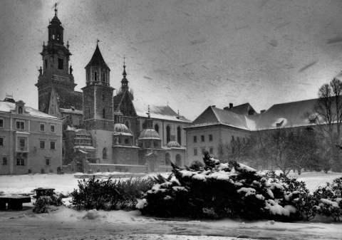 Kliknij na zdjęcie, żeby zobaczyć w pełnych wymiarach