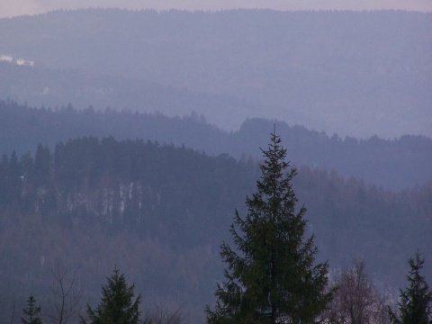 Kliknij na zdjęcie, żeby zobaczyć w pełnych wymiarach