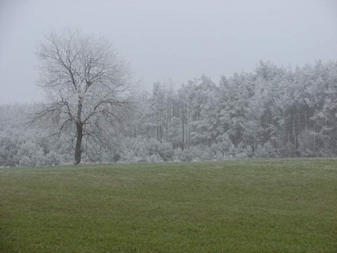 Kliknij na zdjęcie, żeby zobaczyć w pełnych wymiarach