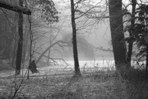 Kliknij na zdjęcie, żeby zobaczyć w pełnych wymiarach