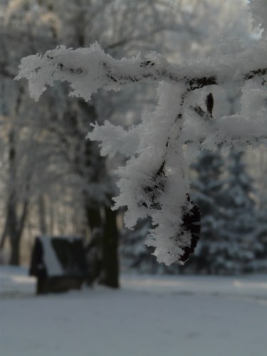 Kliknij na zdjęcie, żeby zobaczyć w pełnych wymiarach