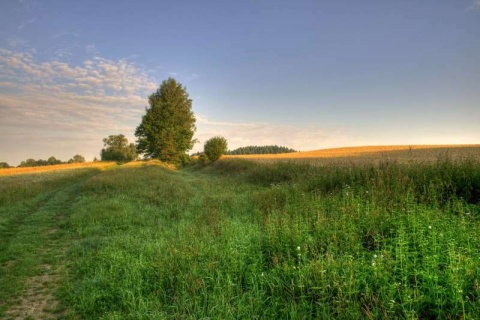 Kliknij na zdjęcie, żeby zobaczyć w pełnych wymiarach