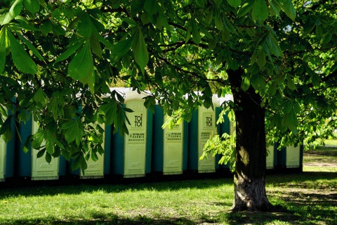 Kliknij na zdjęcie, żeby zobaczyć w pełnych wymiarach