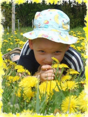 Kliknij na zdjęcie, żeby zobaczyć w pełnych wymiarach