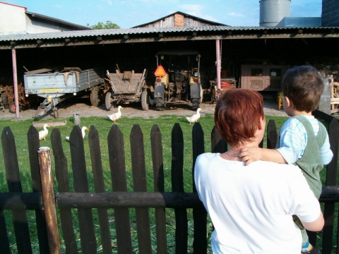 Kliknij na zdjęcie, żeby zobaczyć w pełnych wymiarach