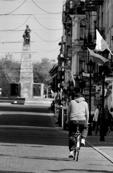 Kliknij na zdjęcie, żeby zobaczyć w pełnych wymiarach