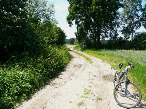 Kliknij na zdjęcie, żeby zobaczyć w pełnych wymiarach