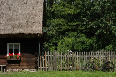 Kliknij na zdjęcie, żeby zobaczyć w pełnych wymiarach